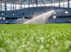 麦卡利斯特,呼吁球队壮,大应对梅西,体彩彩民之家网,体育彩票,彩民之家网,足球彩票,篮球彩票,官方网站