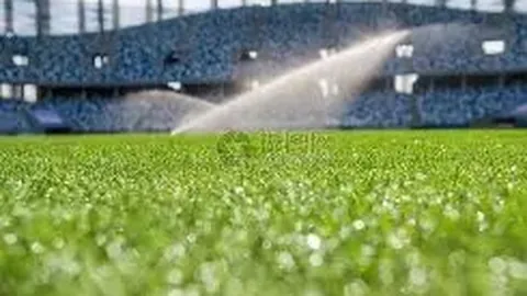 “麦卡利斯特呼吁球队壮大应对梅西缺席，力争世界冠军荣耀”