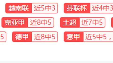 王大雷：海外征程或成空，内心满是遗憾